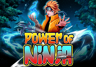 Power of Ninja screenshot